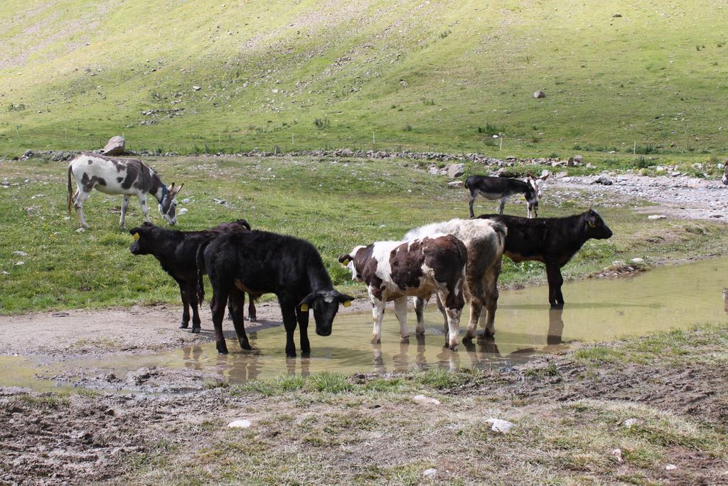 Dependance Sporting Livigno Exterior foto
